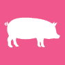 pork-icon
