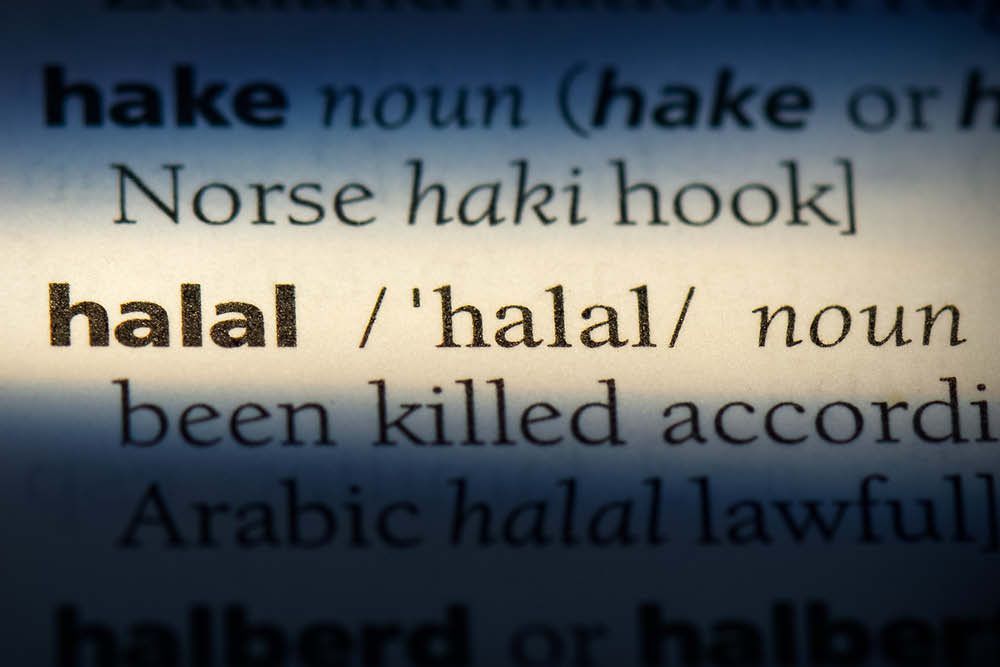 Halal meaning